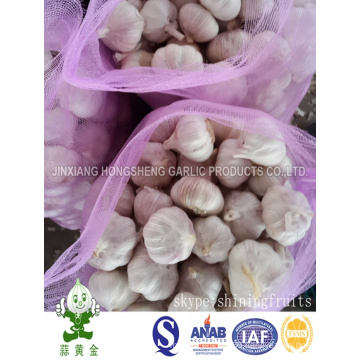 Mesh Bag 10kgs Net Weight Fresh Normal White Garlic